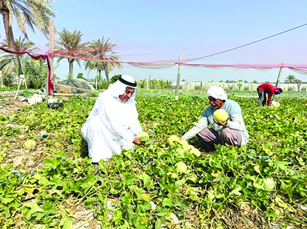 Four agricultural villages win global praise under UN initiative